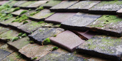 Trearddur Bay roof repair costs
